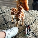 Милый плюшевый жираф
