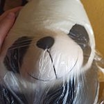 Simpatico peluche a forma di panda