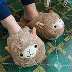Kawaii alpaca pantoffels