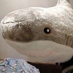 Peluche oreiller requin kawaii