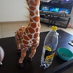 pelúcia girafa fofa