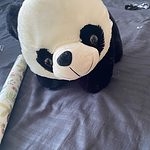 Urocza pluszowa panda