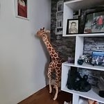 Милый плюшевый жираф
