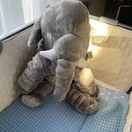 Lindo elefante de peluche almohada