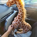 Leuke giraffe knuffel
