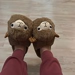 Pantofole Kawaii Alpaca