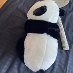 Leuke panda knuffel
