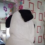 Felpa con cappuccio Kawaii Panda