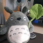 Peluche Totoro Kawaii