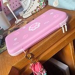 Caja de interruptor de pata de gato rosa