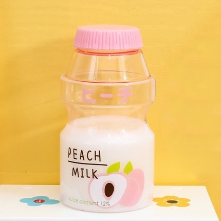 Cute Ins Fruchtwasserflasche 480ml