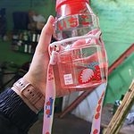 Botella de agua de frutas Cute Ins 480ml
