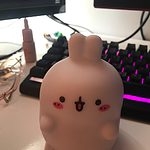 Kawaii Bunny Schreibtischlampe