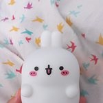 Kawaii Bunny Skrivbordslampa