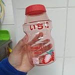Бутылка для фруктовой воды Cute Ins 480 мл
