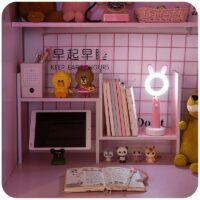 Sweet Pink Irregular Desk Organizer Skrivbordsarrangör kawaii