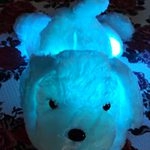 Juguete de peluche para perros con luz LED