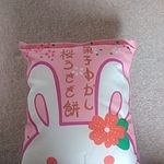 日本のかわいいバニー人形のバッグ