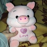 Симпатичная толстая свинья-ангел, плюшевые игрушки