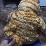 Peluche Kawaii Fat Angry Cat