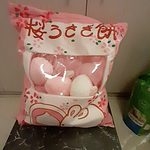 Eine Tasche mit japanischen Kawaii-Hasenpuppen