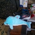 Urocza pluszowa zabawka ze świecącym delfinem