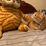 Peluche Kawaii Fat Angry Cat
