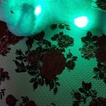 LED leuchtendes Hundeplüschtier