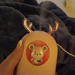 Kawaii Deer Wolf USB LED-luchtbevochtiger