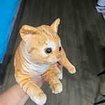 Cute Cat Doll Plush Toy
