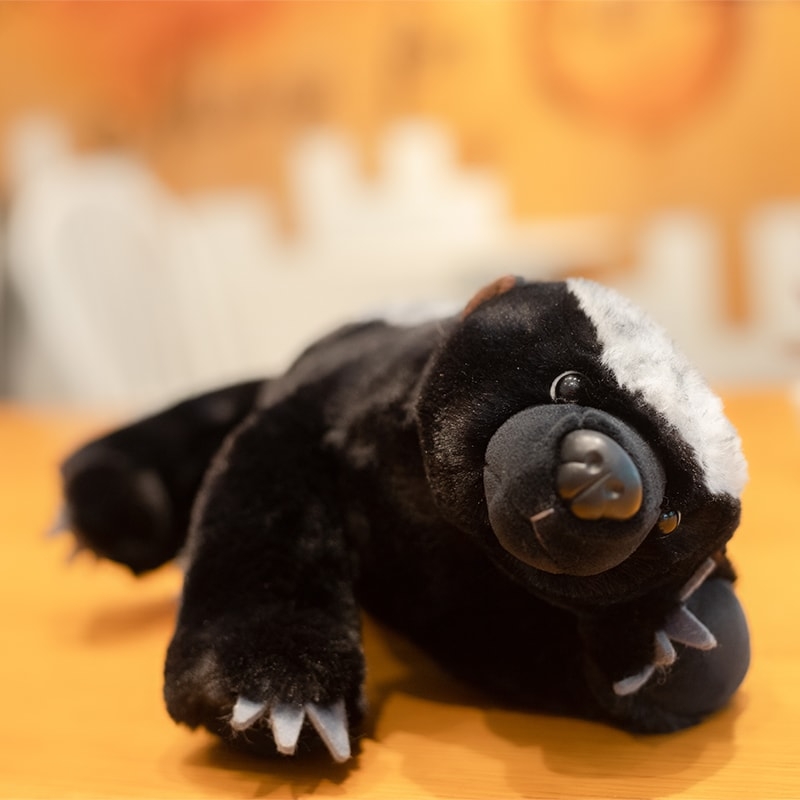 Cute and Safe honey badger plush stuffed animal toy, Perfect for Gifting 