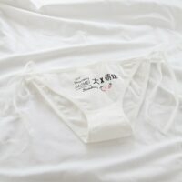 Kawaii Japanese Strawberry Underwear – Kawainess