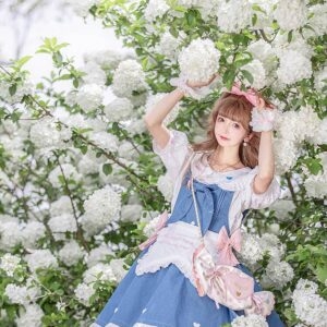 Kawaii Cute Sweet Summer Denim Lolita Dress Set Cosplay kawaii